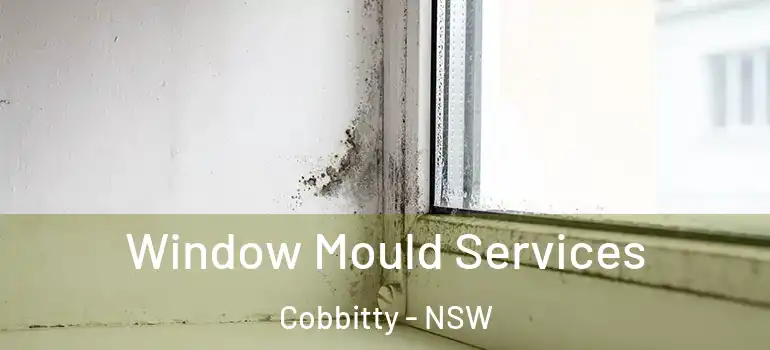 Window Mould Services Cobbitty - NSW