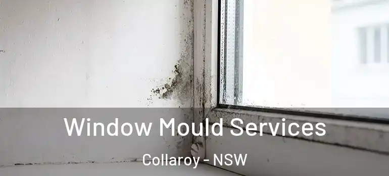 Window Mould Services Collaroy - NSW