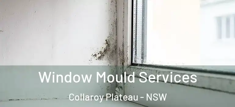 Window Mould Services Collaroy Plateau - NSW