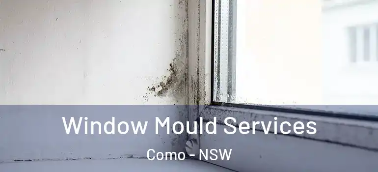 Window Mould Services Como - NSW
