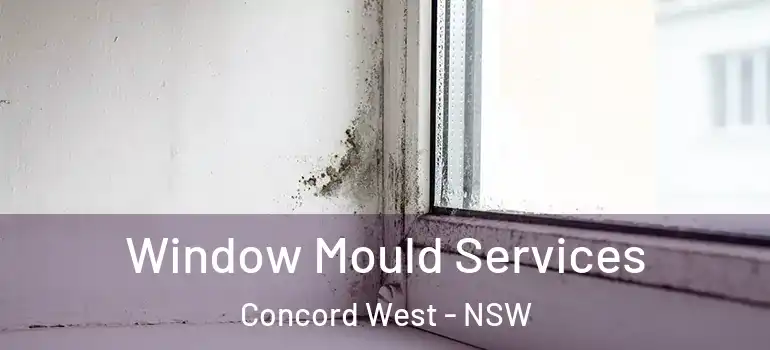  Window Mould Services Concord West - NSW