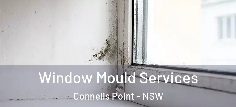  Window Mould Services Connells Point - NSW
