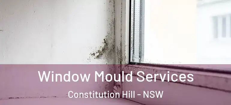Window Mould Services Constitution Hill - NSW