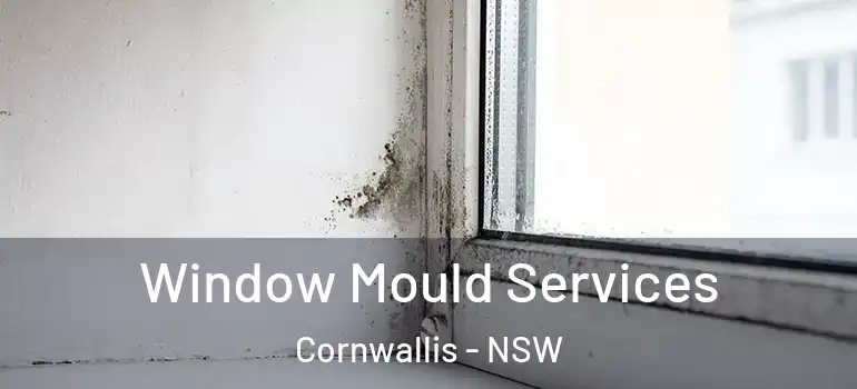 Window Mould Services Cornwallis - NSW