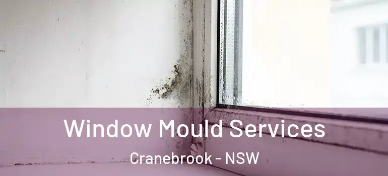 Window Mould Services Cranebrook - NSW