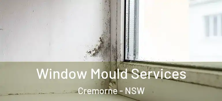  Window Mould Services Cremorne - NSW