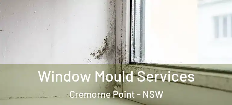  Window Mould Services Cremorne Point - NSW