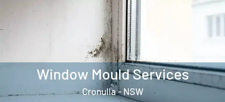Window Mould Services Cronulla - NSW
