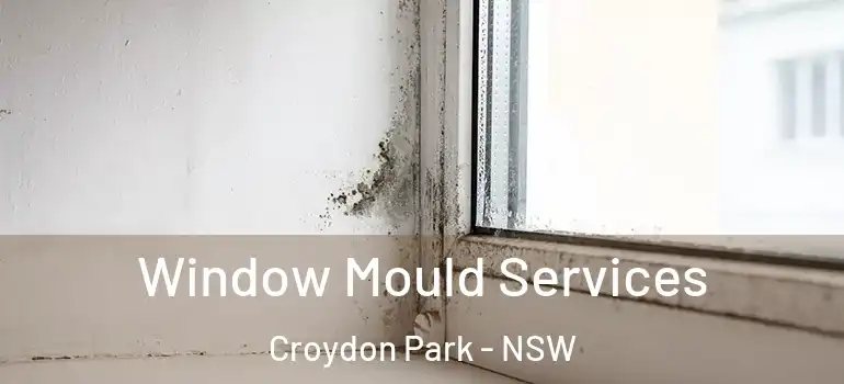 Window Mould Services Croydon Park - NSW