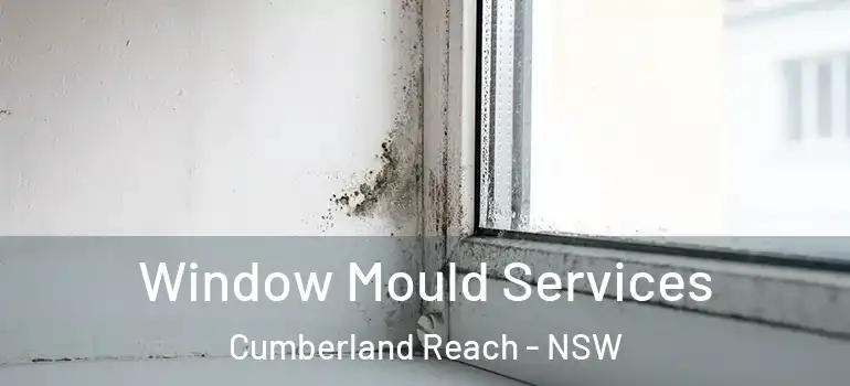 Window Mould Services Cumberland Reach - NSW