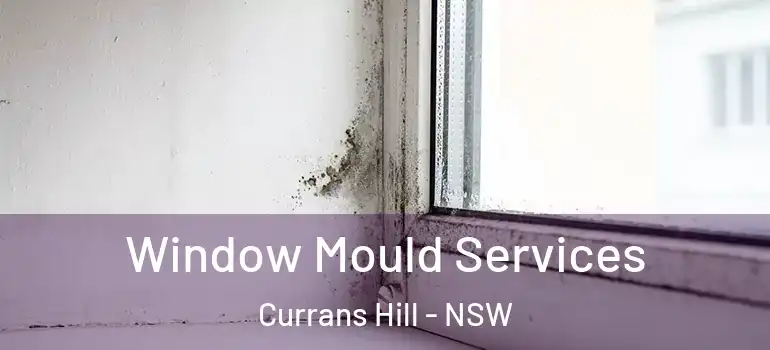 Window Mould Services Currans Hill - NSW