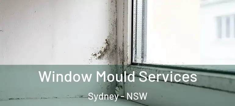 Window Mould Services Sydney - NSW