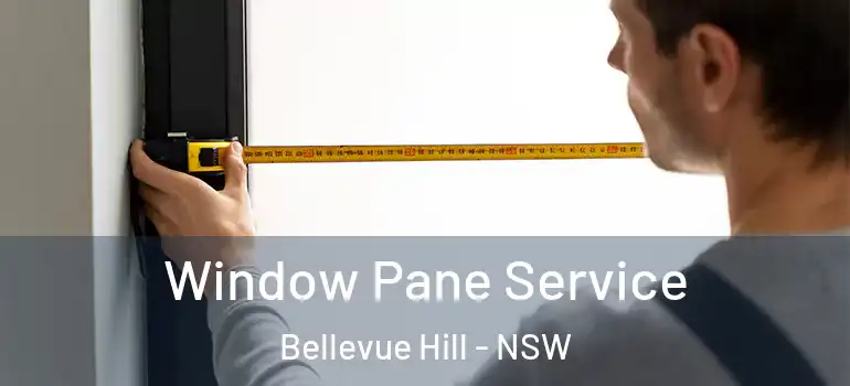 Window Pane Service Bellevue Hill - NSW