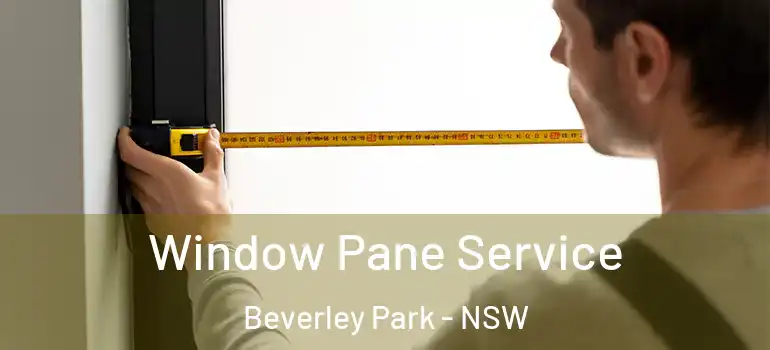Window Pane Service Beverley Park - NSW