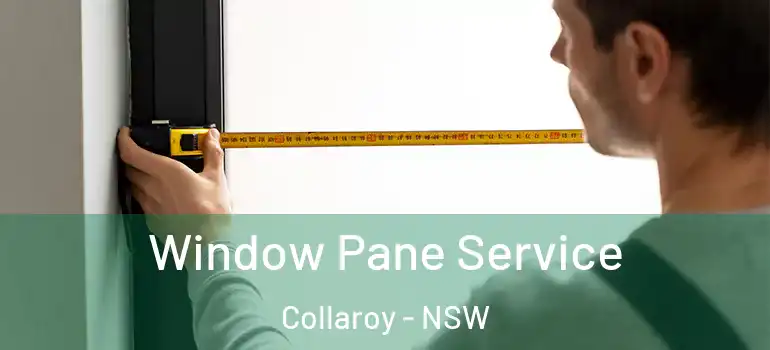 Window Pane Service Collaroy - NSW