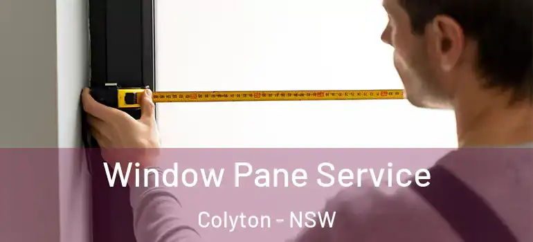 Window Pane Service Colyton - NSW