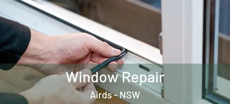 Window Repair Airds - NSW