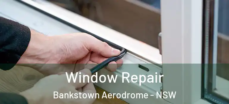 Window Repair Bankstown Aerodrome - NSW