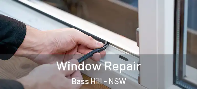  Window Repair Bass Hill - NSW