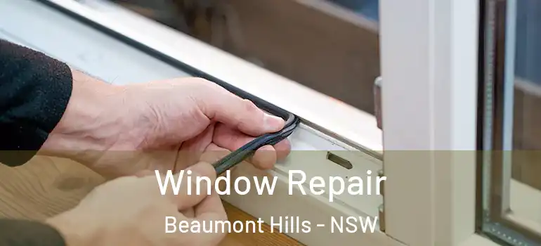 Window Repair Beaumont Hills - NSW