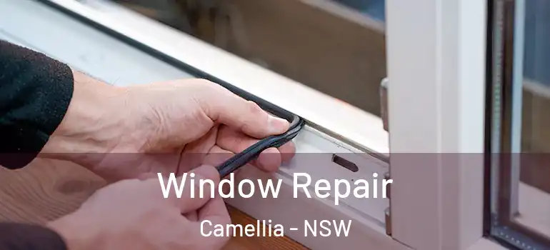 Window Repair Camellia - NSW