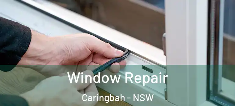 Window Repair Caringbah - NSW