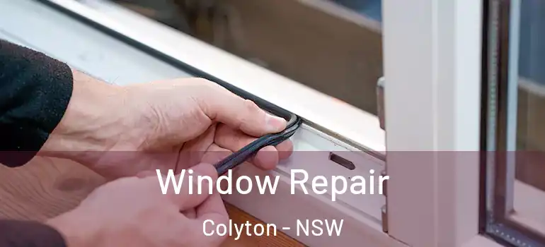 Window Repair Colyton - NSW