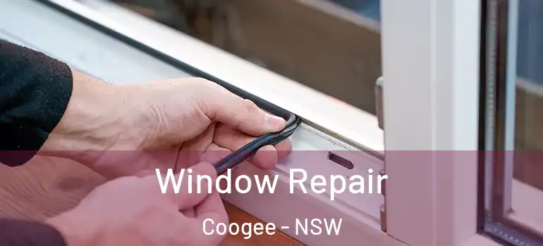  Window Repair Coogee - NSW