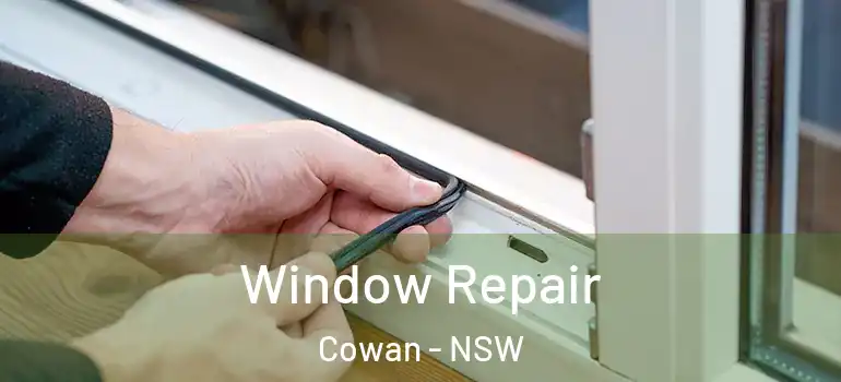 Window Repair Cowan - NSW