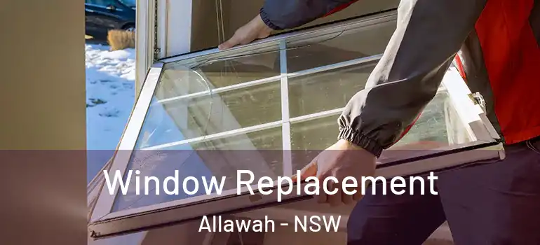  Window Replacement Allawah - NSW