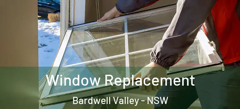 Window Replacement Bardwell Valley - NSW