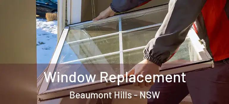 Window Replacement Beaumont Hills - NSW