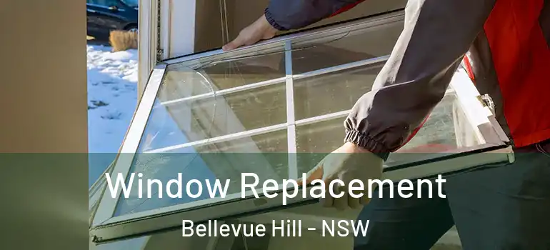 Window Replacement Bellevue Hill - NSW