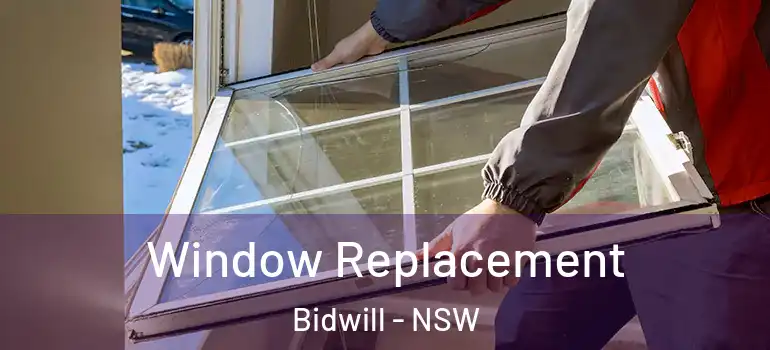 Window Replacement Bidwill - NSW