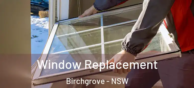  Window Replacement Birchgrove - NSW