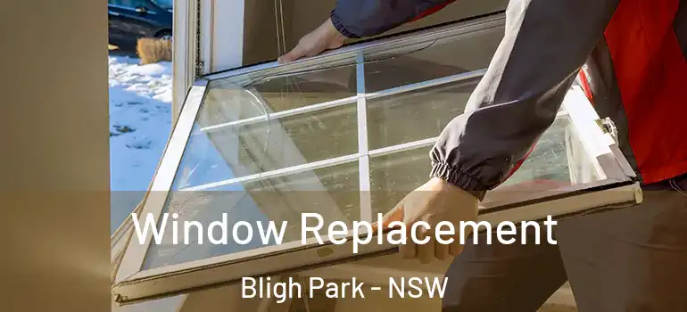 Window Replacement Bligh Park - NSW