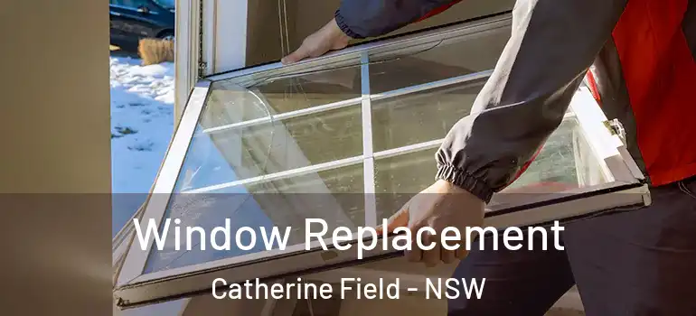 Window Replacement Catherine Field - NSW