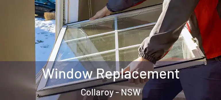 Window Replacement Collaroy - NSW