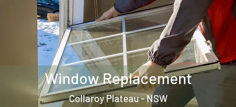 Window Replacement Collaroy Plateau - NSW
