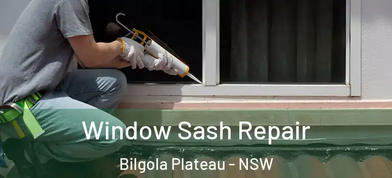 Window Sash Repair Bilgola Plateau - NSW