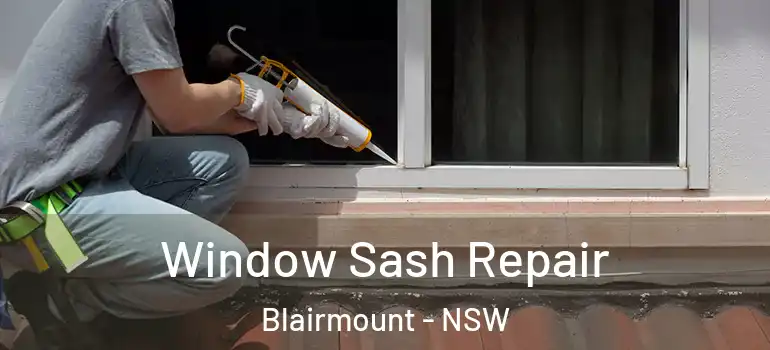 Window Sash Repair Blairmount - NSW