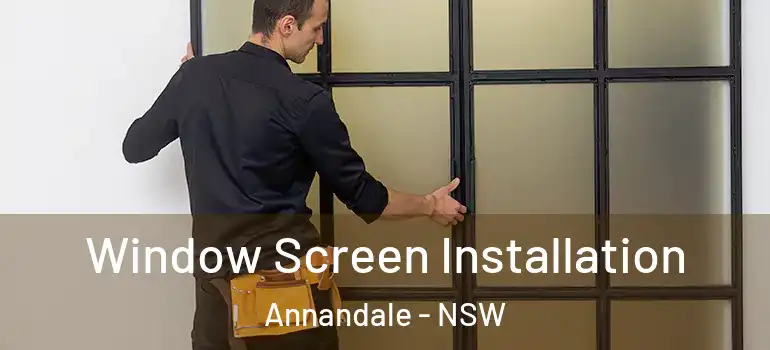 Window Screen Installation Annandale - NSW