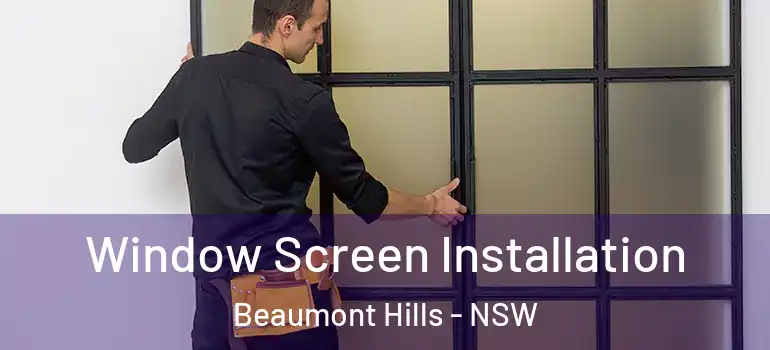 Window Screen Installation Beaumont Hills - NSW