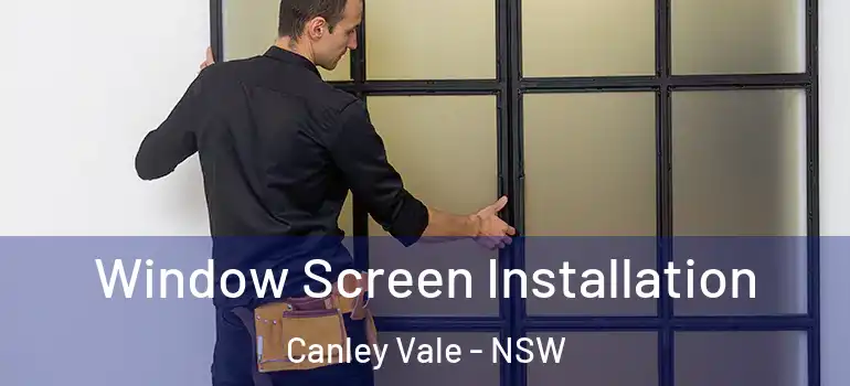 Window Screen Installation Canley Vale - NSW