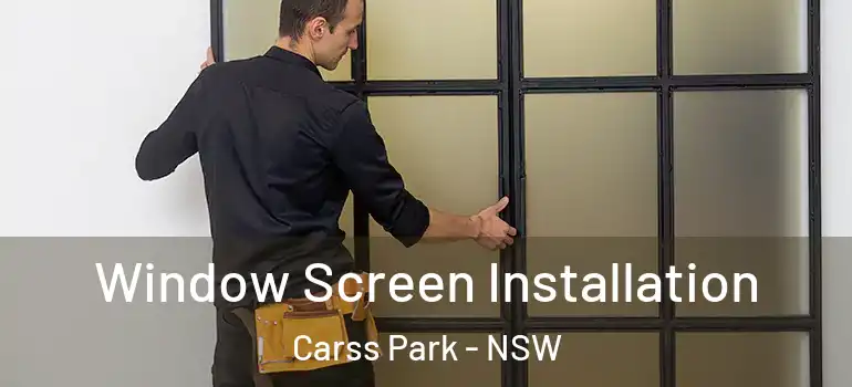 Window Screen Installation Carss Park - NSW
