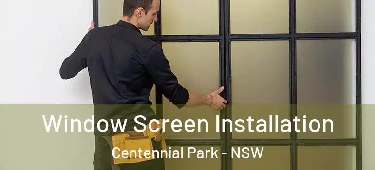 Window Screen Installation Centennial Park - NSW