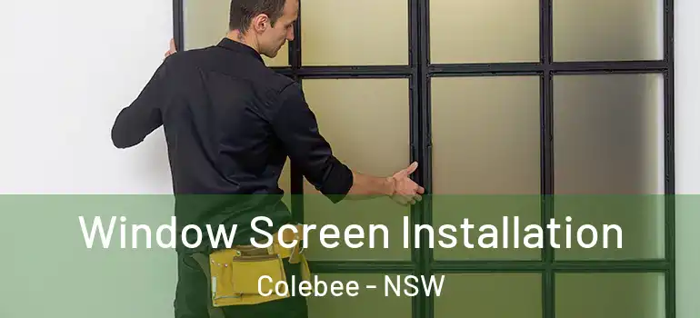 Window Screen Installation Colebee - NSW