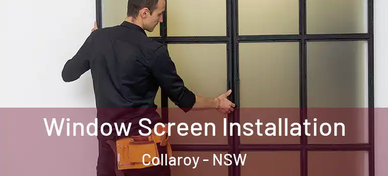 Window Screen Installation Collaroy - NSW