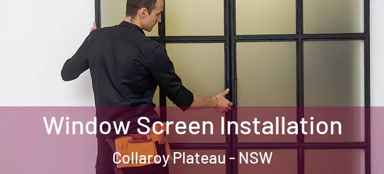  Window Screen Installation Collaroy Plateau - NSW