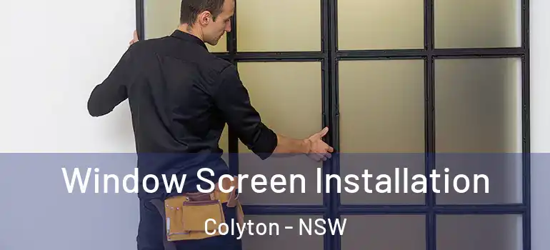 Window Screen Installation Colyton - NSW